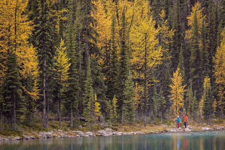 Banff’s Autumn Glow: Why Fall Might Be the Park’s Best Season