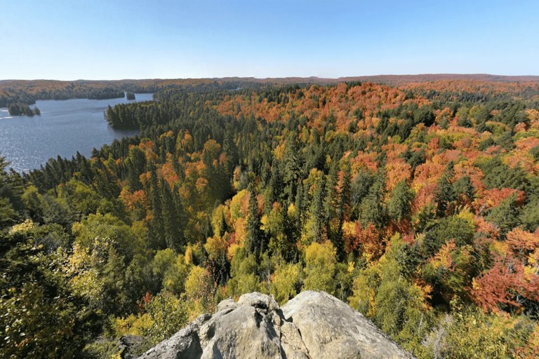 Algonquin Park’s Quiet Trails Offer Solitude and Stunning Scenery